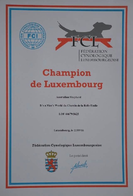 Willow est champion du Luxembourg.